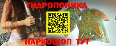 прущие крисы Новодвинск