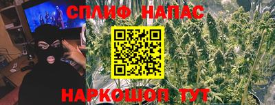 ALPHA-PVP Новозыбков