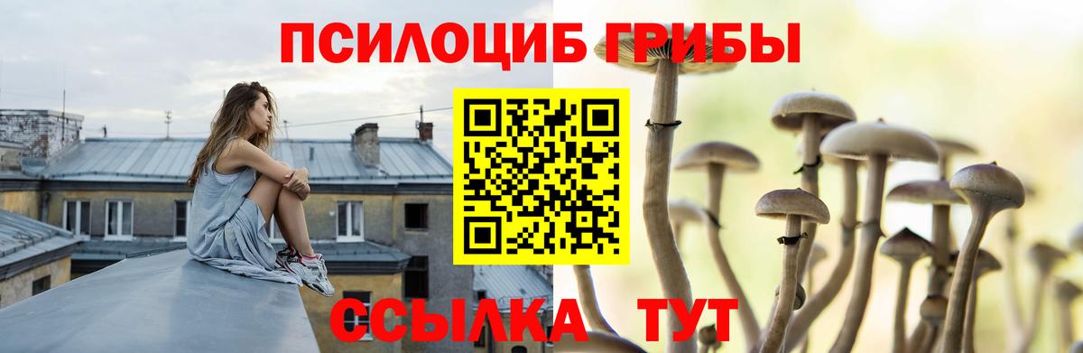 Ревда  Галлюциногенные грибы Magic Shrooms  Вход с VPN 